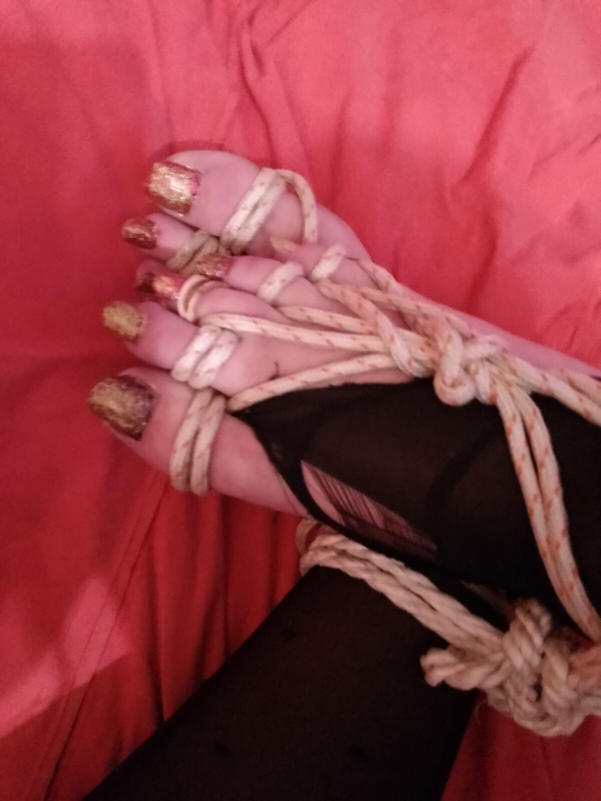 成熟した奴隷ltn