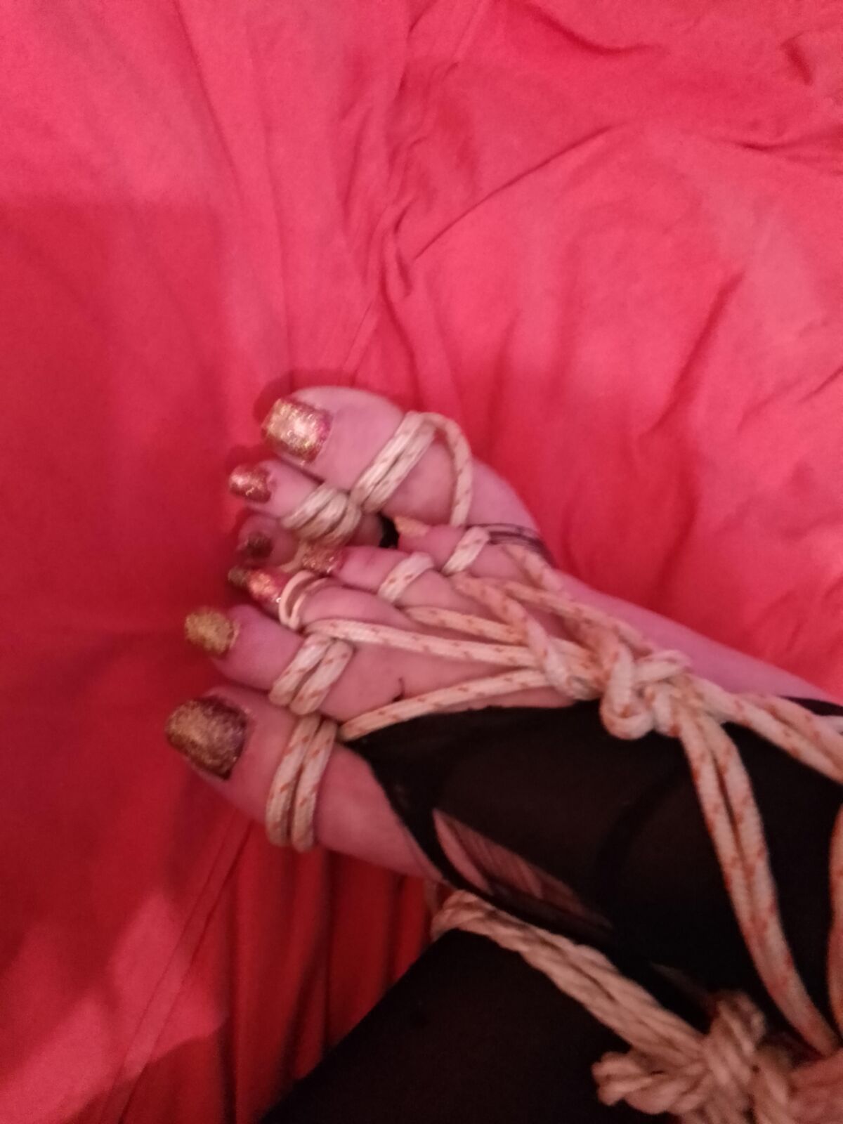 成熟した奴隷ltn