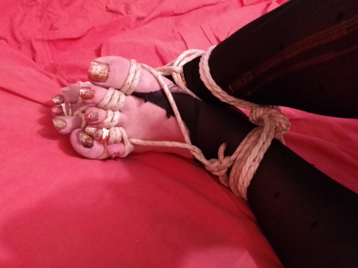 成熟した奴隷ltn