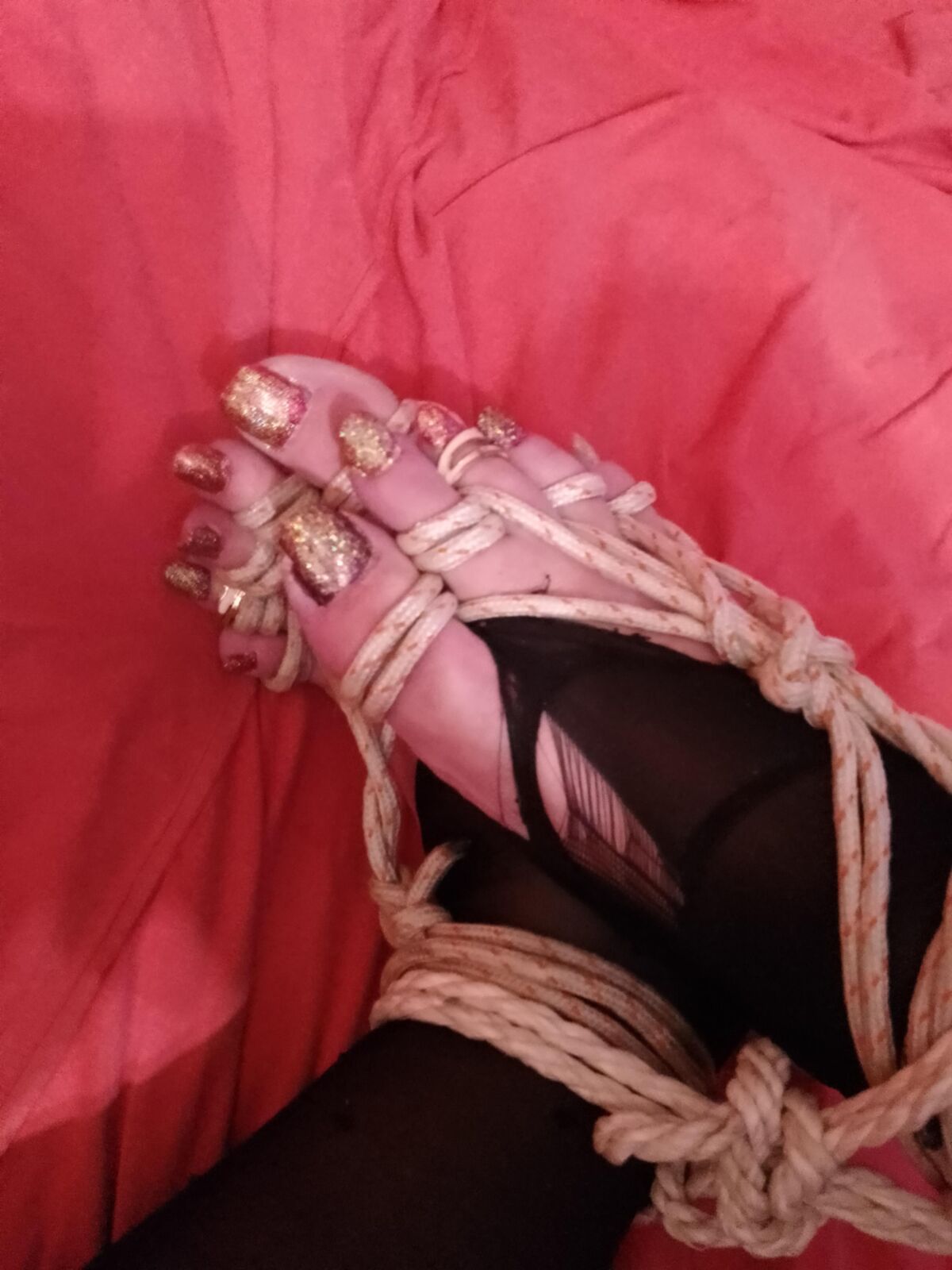 成熟した奴隷ltn