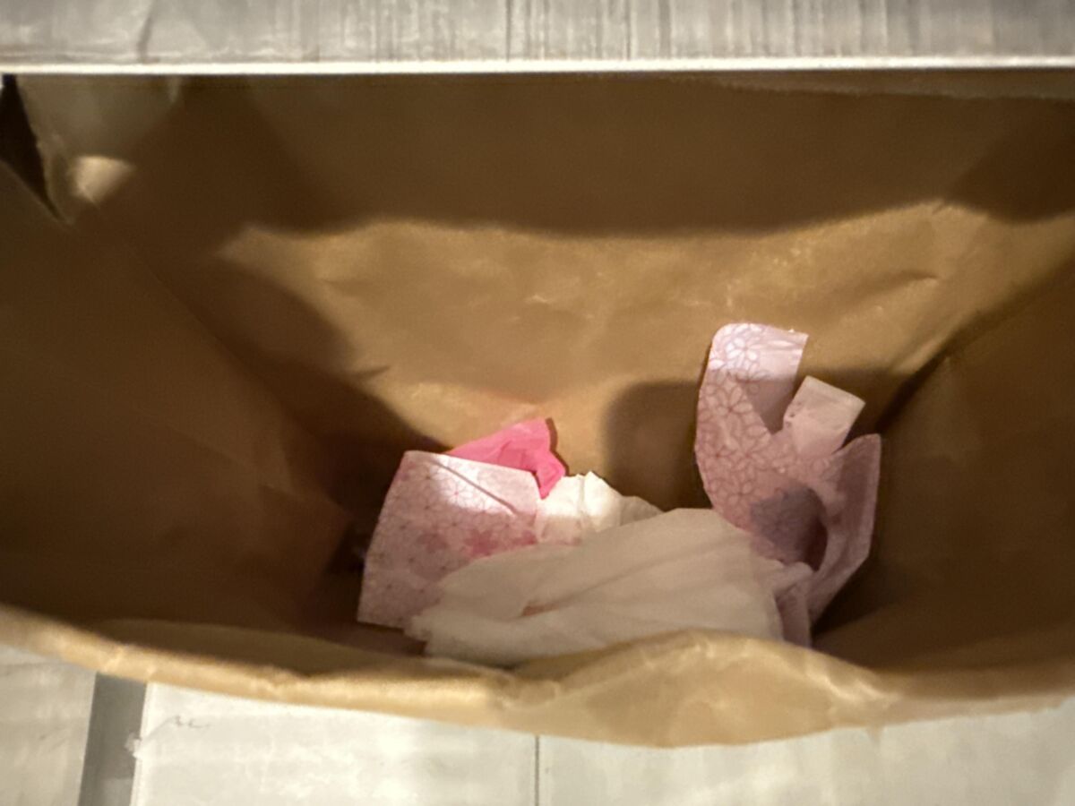 1つの観光場所からのパッドとタンポンアプリケーター