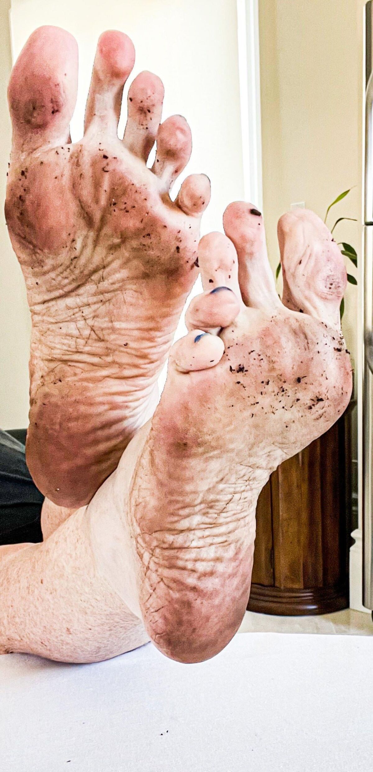 Ses pieds de gingembre