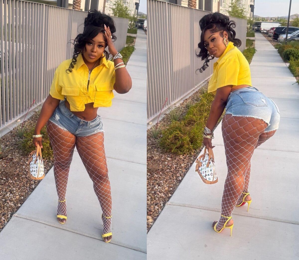 Ebony Pantyhose Beauties 