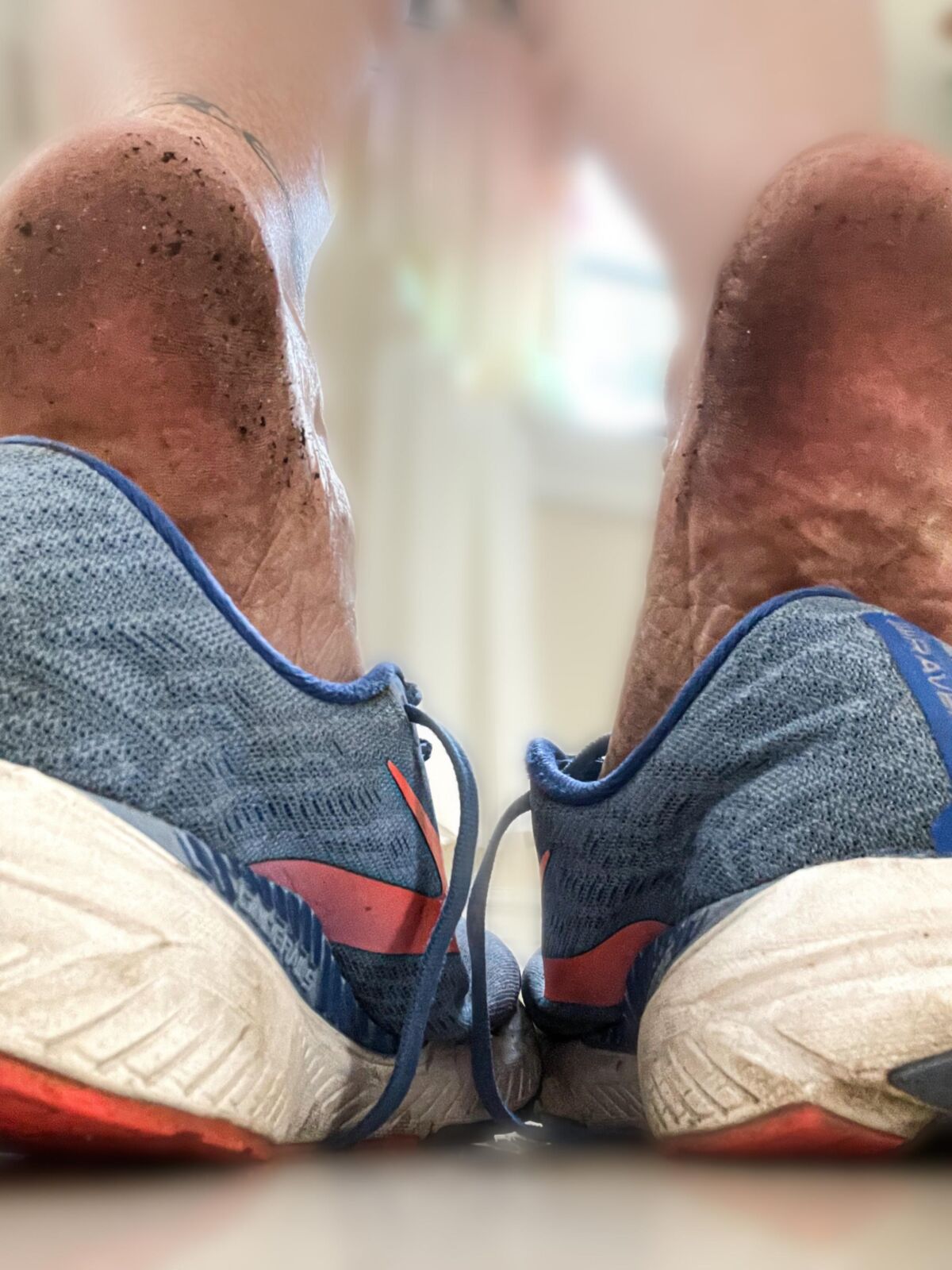 Ses pieds de gingembre