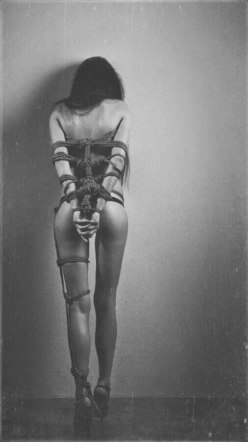 Shibari e Bondage