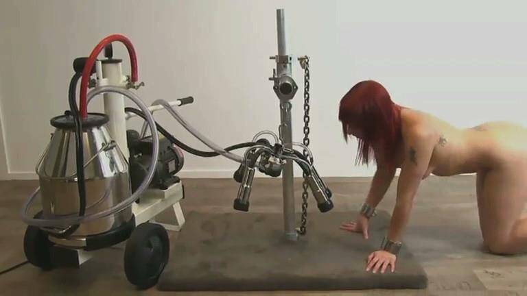 . Aglaya milked like a cow