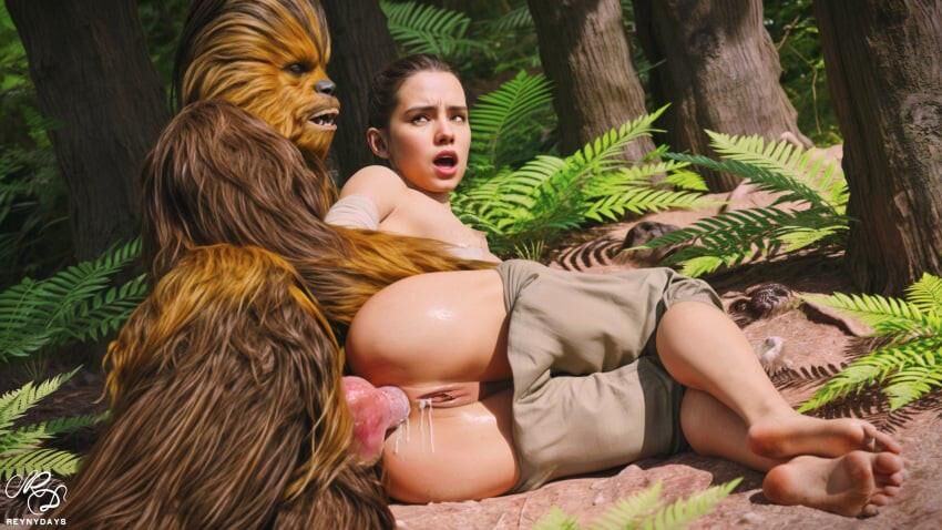 スターウォーズヘタイ