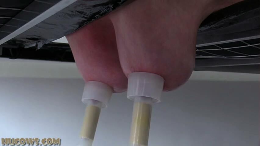 . Marketa milked like a cow