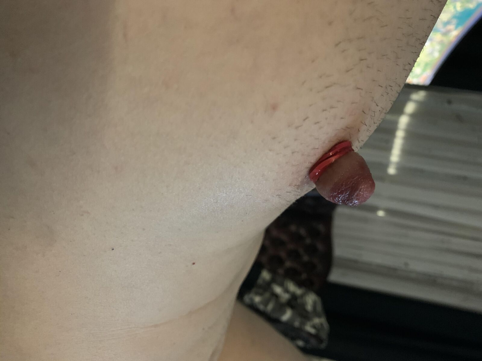 Daddys Big Hog Nips