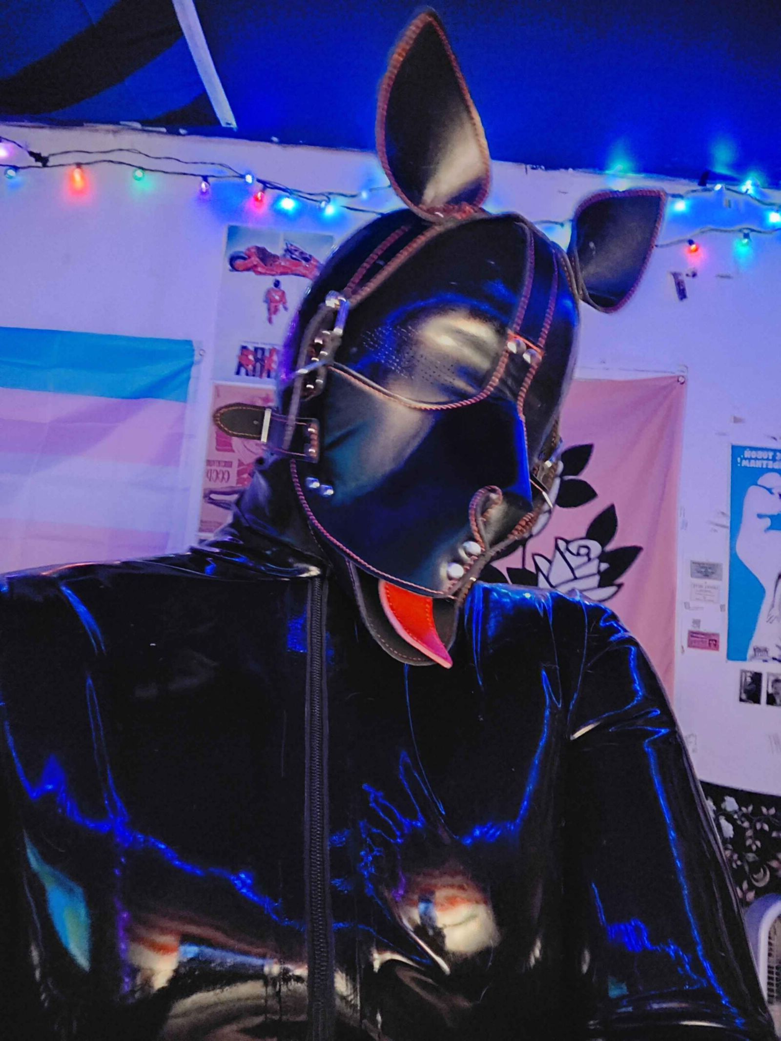 TS Rubber Puppy