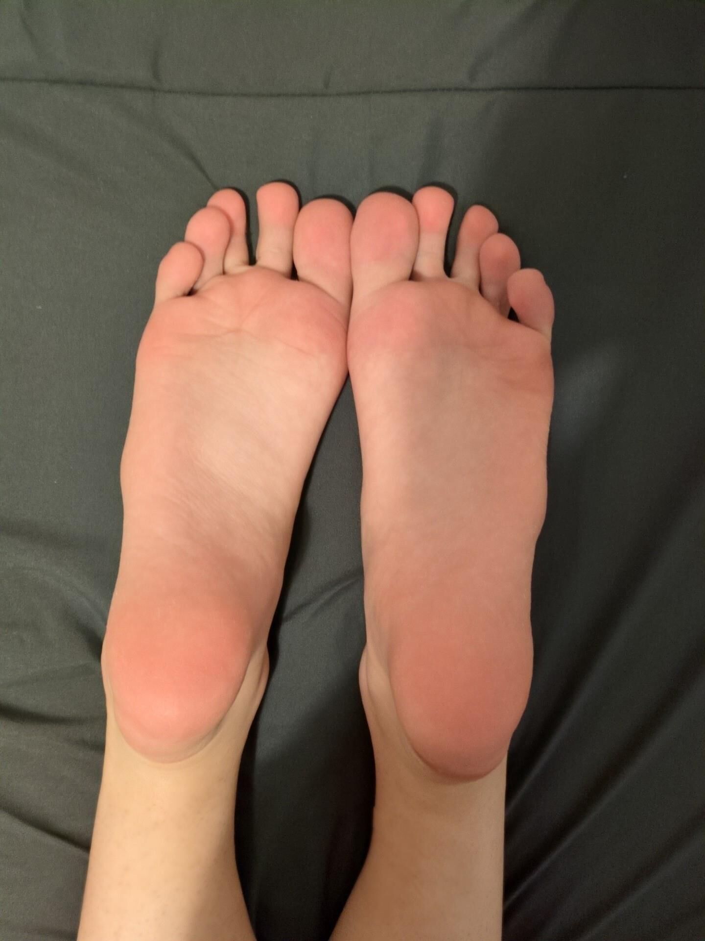 pies