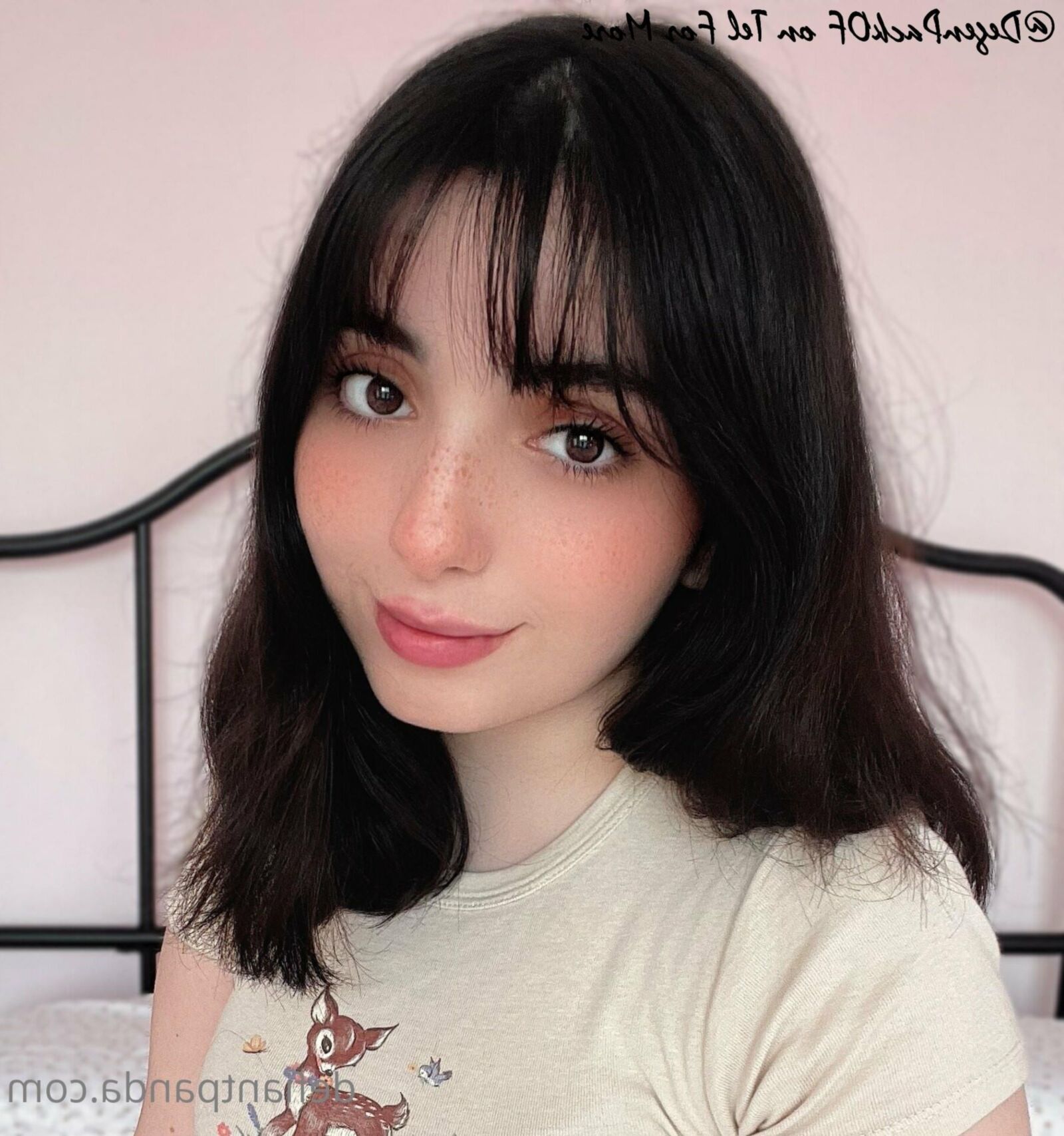 Bonge Bangs Bangs III