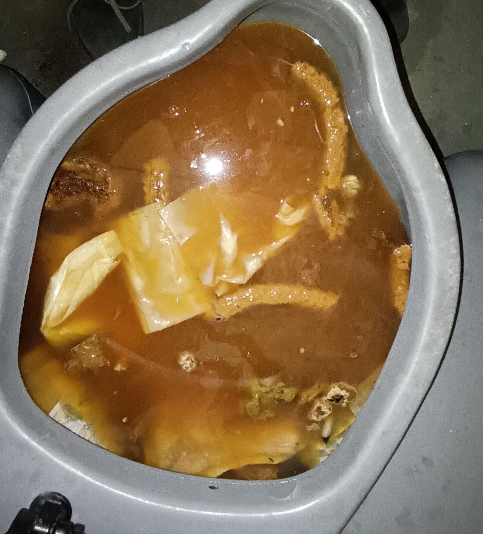 Portapotty hell