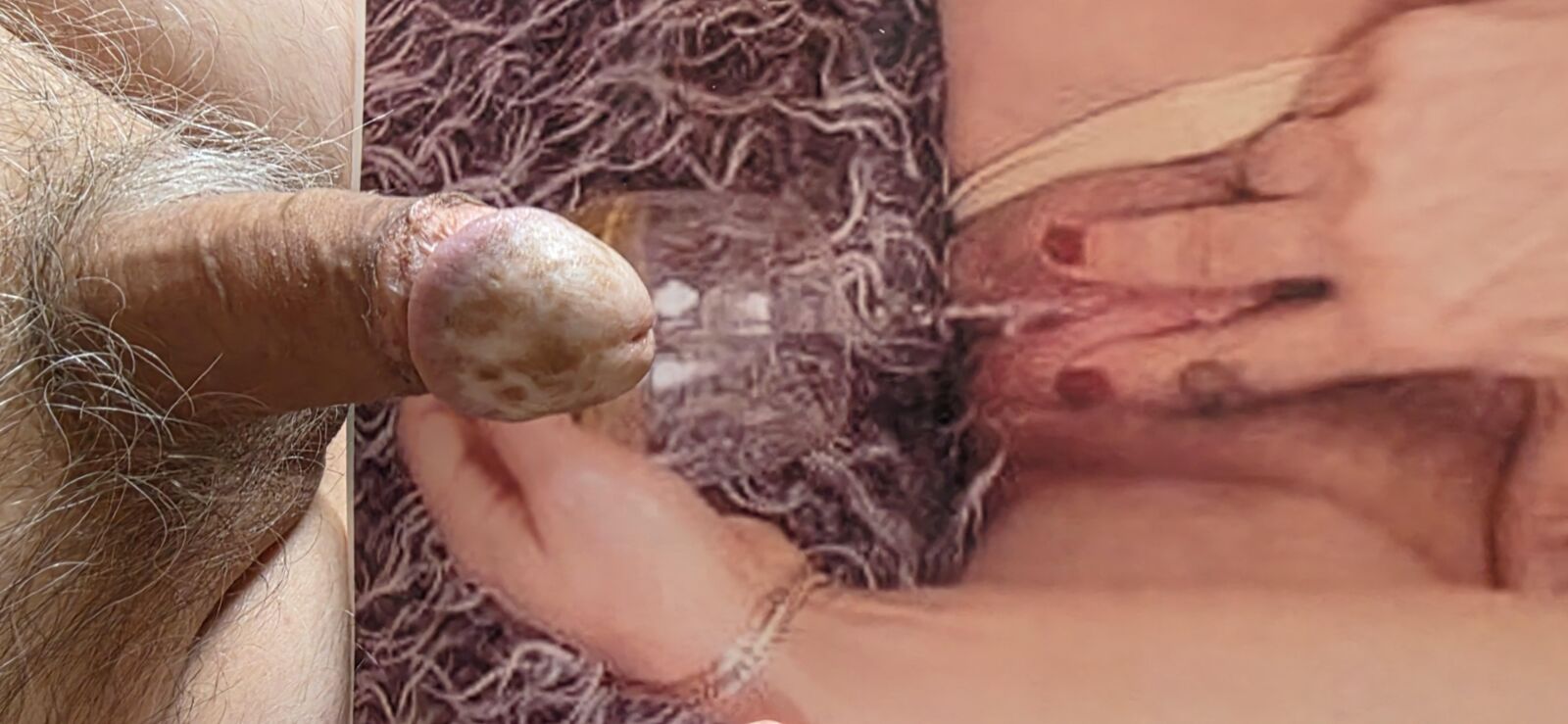 Tributos a Vênus sexy