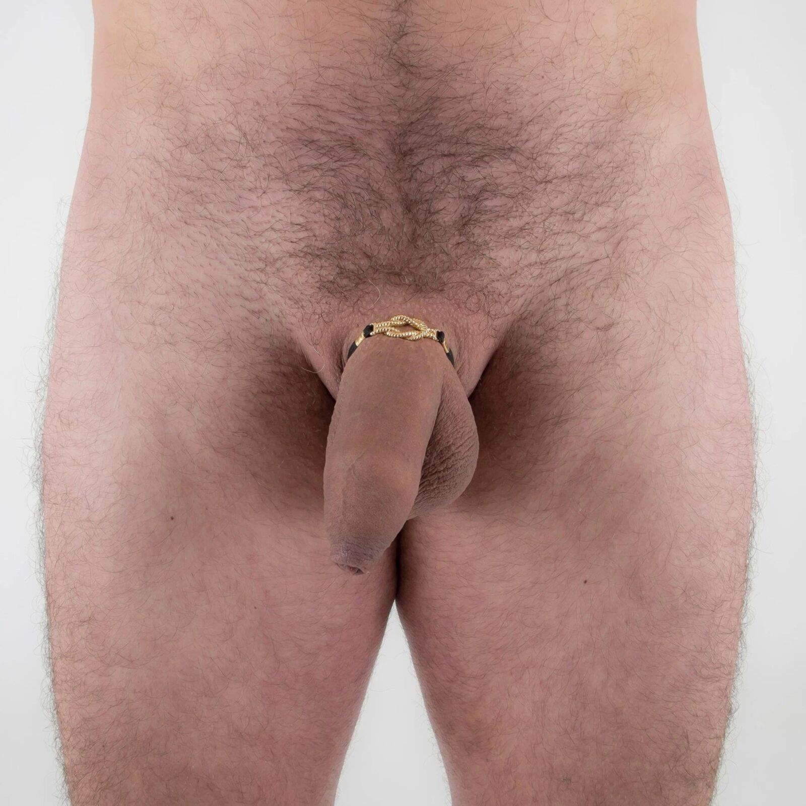 Meus desejos