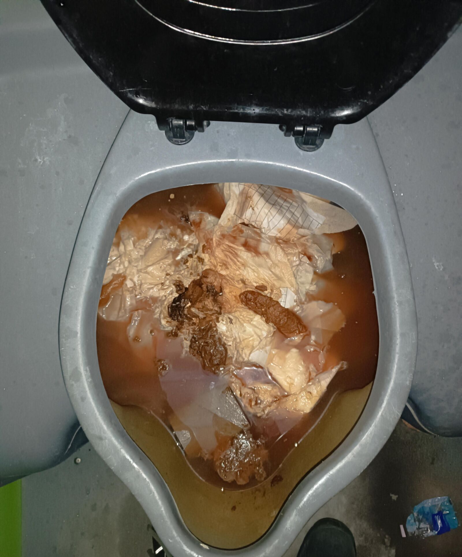 Portapotty hell