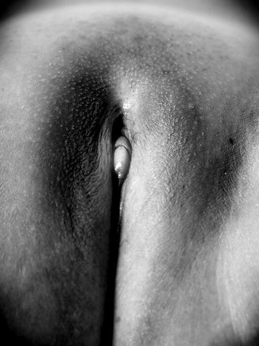 rasierte Scheide Vagina Bilder