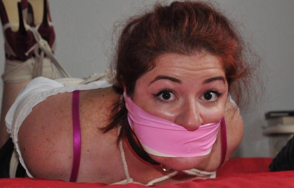 Jeune et Jolie Truie Dodue en Manque d'Education