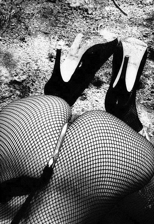 BDSM対BW