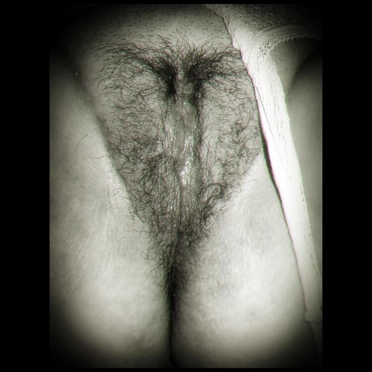 Frauen Vagina 