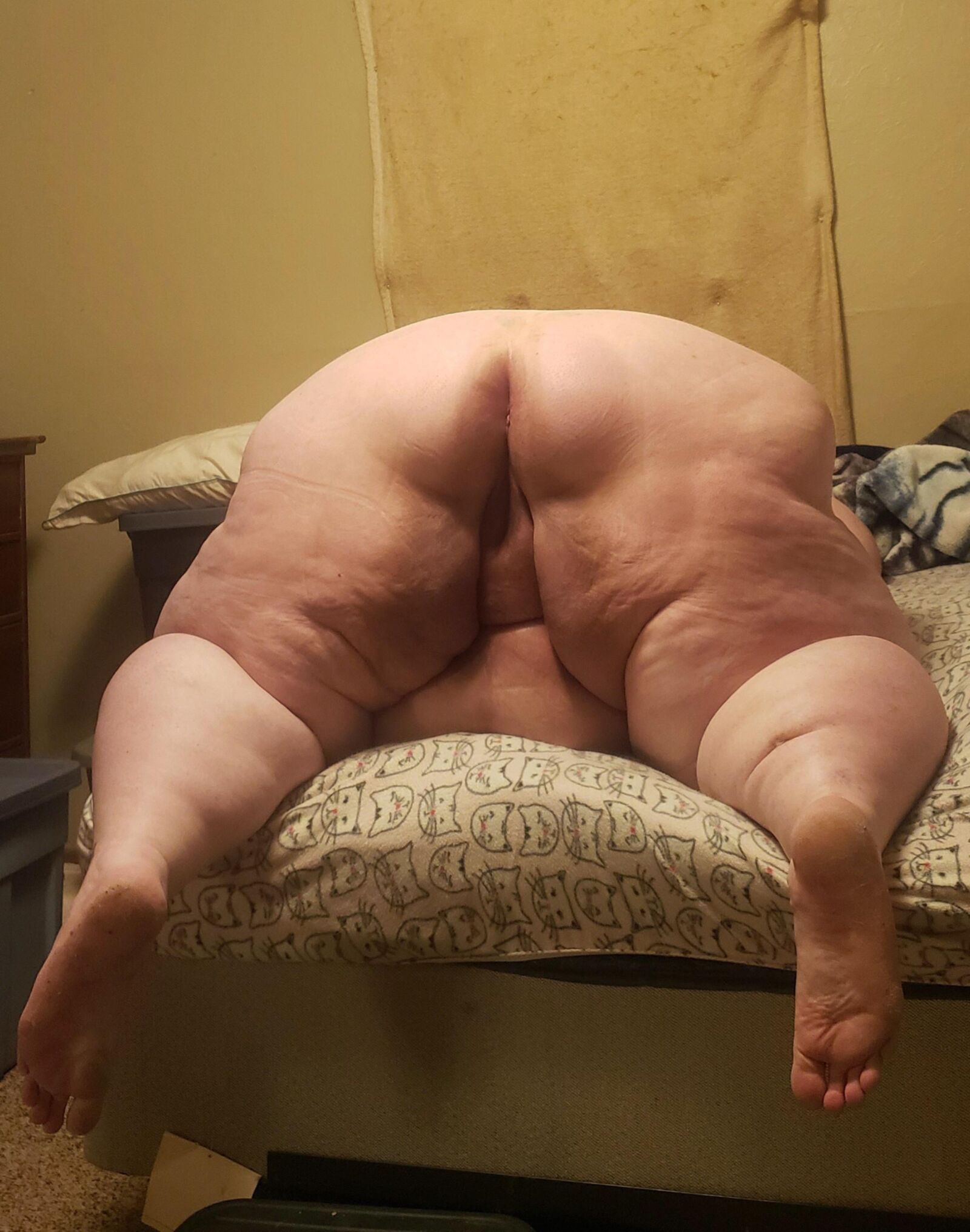 ビッグファットBBW、SSBBW、USSBBWセクシーブタ
